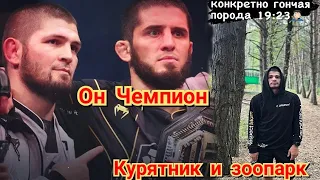 Хабиб зверющник на сборах: Ислам Махачев в номере несушка Тагир кто.? Общается с лисой 🤔