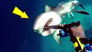 5 Scariest Videos Caught By Divers!