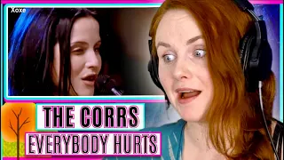 Vocal Coach reacts to The Corrs - Everybody Hurts (REM Cover)