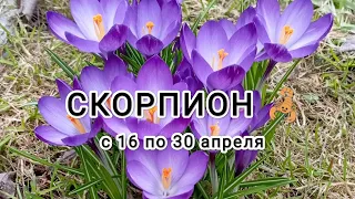 СКОРПИОН 🦂 таро прогноз с 16 по 30 апреля &Scorpio tarot forecast from April 16 to April 30