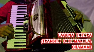 🪗🫵🏾”Laguna Totora”🫵🏾🪗(Transito Cocomarola) - TUTORIAL ACORDEÓN A PIANO