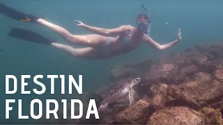 Snorkeling Destin Florida in 3 Minutes! / Destin Jetty and Dolphin Reef