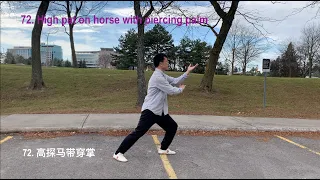 Yang Style Taijiquan 85 Forms, by Weiyuan Huang - 杨氏太极拳85式，黄未原