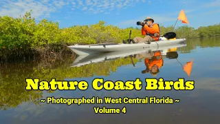 Nature Coast Birds of Florida ~ Vol. 4