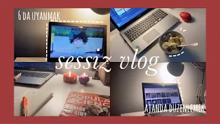 sessiz vlog | ajandamı düzenliyorum 6 da uyanıyorum