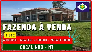 1.612 ALQ EM COCALINHO - MT FAZENDA A VENDA NO MATO GROSSO [🌱DUPLA APTIDÃO🐄] Zap 62.99972-2000 #agro