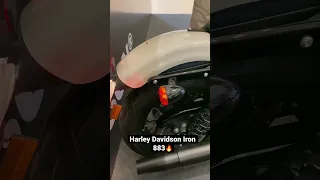 Harley Davidson Iron 883🔥 #bike #harleydavidson #iron #loud #exhaust