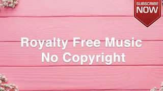 Metro - Scandinavianz | Copyright Free Music | Royalty Free Music