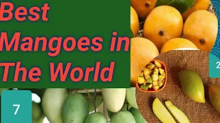 Best Mangoes Variety in The World|| By Grand Baloch|| 28 Sep 2020|