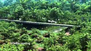 First look: Concept video for Mandai nature project