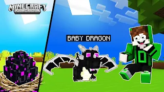 We ADOPTED Baby Dragons in Minecraft PE!