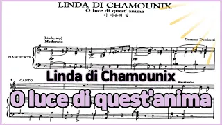 O luce di quest'anima - [Linda di Chamounix] 'G.Donizetti' Piano Accompaniment 오 영혼의 빛이여 반주