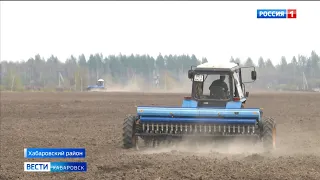 Эксперименты и господдержка для высоких урожаев: в крае стартовала посевная кампания