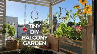 Giving my rental balcony a makeover by adding a tiny garden - outdoor living