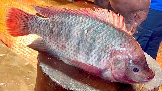 HUGE TILAPIA FISH CUTTING SKILLS | FISH CUTTING BY EXPERT FISH CUTTER #fish