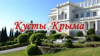 1. Кусты Крыма