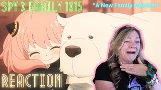 Spy x Family 1x15 "A New Family Member" - reaction & review