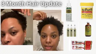 3 Month Hair Update | Semi Big Chop | Products I Use