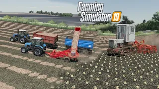 FS19 |Карта Кошмак| Уборка сахарной свеклы / Koshmak Map, Harvesting sugar beet