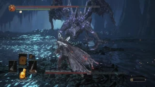 DARK SOULS™ III - Darkeater Midir - Melee SOLO