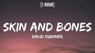 David Kushner - Skin and Bones [1 HOUR/Lyrics] wrap me in your skin and bones