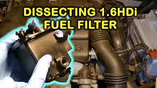 1.6HDi diesel fuel filter, all you need to know and taking it completely apart