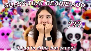 INTENSE GUESS THAT BEANIE BOO CHALLENGE (ft. my friend)