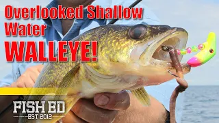 Overlooked Shallow Water Walleye Patterns for Tough Conditions - Fish Ed