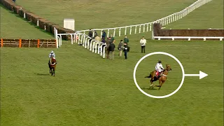 Have you ever seen anything like it!? Incredible scenes at Sandown as leader throws away certain win