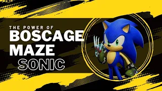 Rating all Characters in SFSB - Episode 1 (Boscage Maze Sonic)