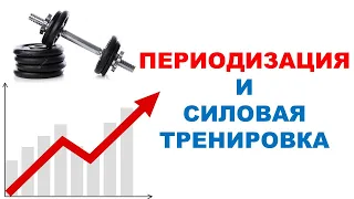 Периодизация в тренировках на массу и силу мышц / Обзор эксперимента