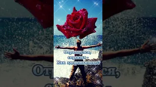 #Счастье#позитив #стихотворение#поэзия #shortvideos#shortvideo