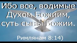 КАКИМ ДУХОМ ВОДИМЫЕ ? - Вячеслав Бойнецкий