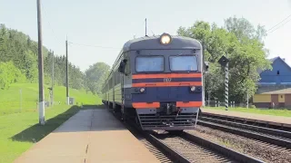 [БЧ] Дизель-поезд ДДБ1-007 на о.п. Сосновка / [BCh] DDB1-007 DMU at Sosnovka stop