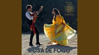 Rosa de Fogo