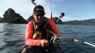 How to catch kingfish jigging from a kayak