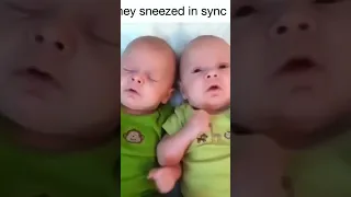 sneezing baby twins