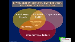 Ultrasound Assessment of Native Renal Vessels