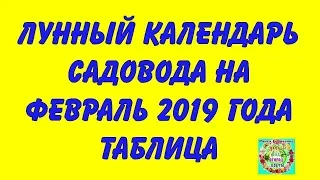 Лунный календарь садовода на февраль 2019 года таблица