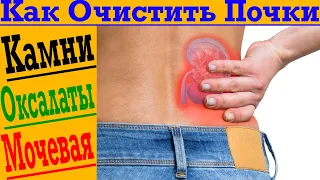 Главный убийца ПОЧЕК! Как очистить и восстановить ПОЧКИ!