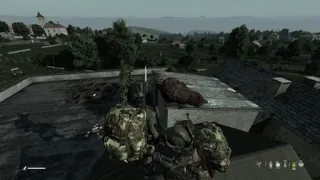 DayZ: Flying BEARS?