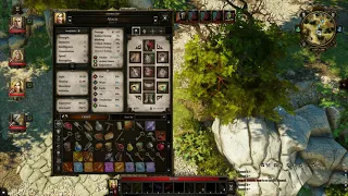 Divinity Original Sin Part 11