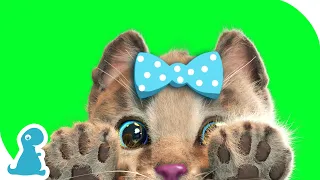 LITTLE KITTEN ADVENTURE - SUPER KITTY GOES ON A LONG CARTOON JOURNEY WITH HER FRIENDS