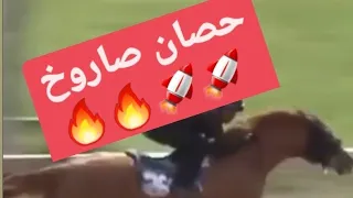 تشغيل خيل السرعه 👍🔥