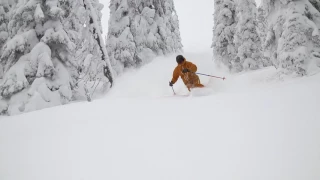 Just another powder day skiing in Fernie