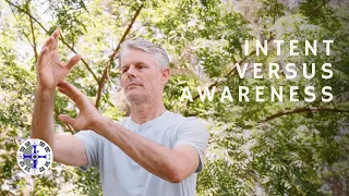 A Leaf in the Stream: Intent v. Awareness (Tai Chi & Qigong)