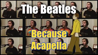 Beatles Because Acapella (One Man Choir) - Jaron Davis