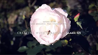 LUMIX S5 CREATING WITH CREATORS​　aqueous words【パナソニック公式】