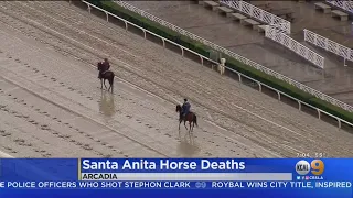 Protesters Converge In Santa Anita Following Death Of 20th Horse