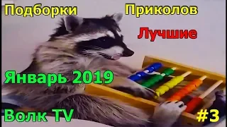 Лучшие Приколы За Неделю,Приколы Январь 2019,Лучшая подборка приколов.